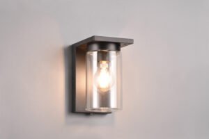 ArdilaApplique - 211660132