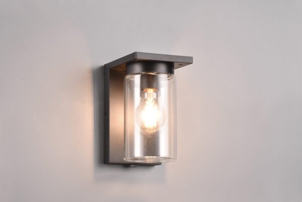 ArdilaApplique - 211660132