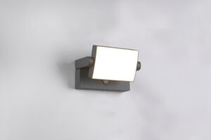 KANSAS applique - 246869142