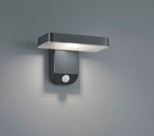 ESQUEL Applique - R22261142