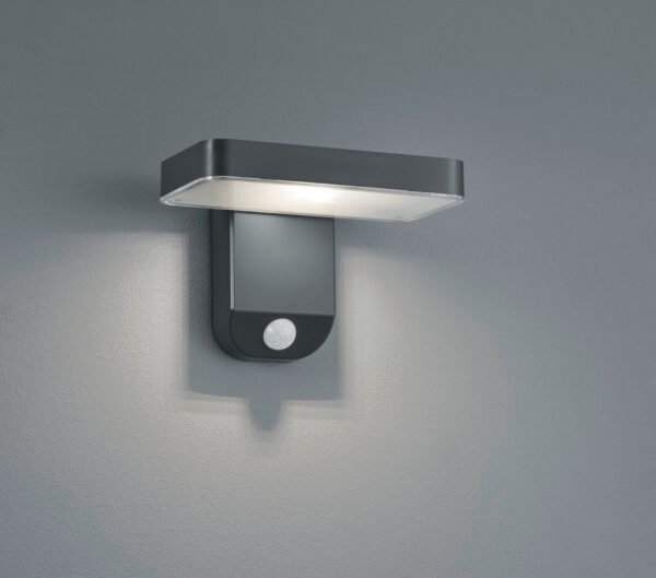 ESQUEL Applique - R22261142