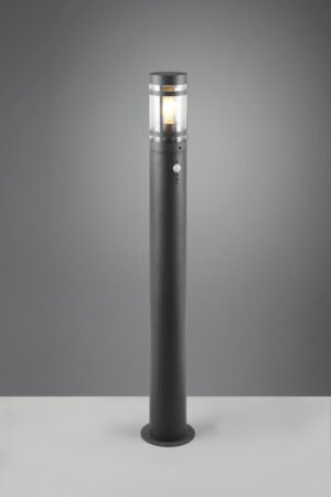 PAOLMA palo da - R41719142