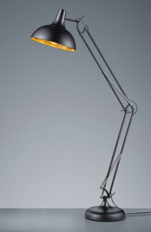 SALVADOR Piantana - R46061032
