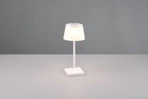 Sanchez Lampada - R54126131