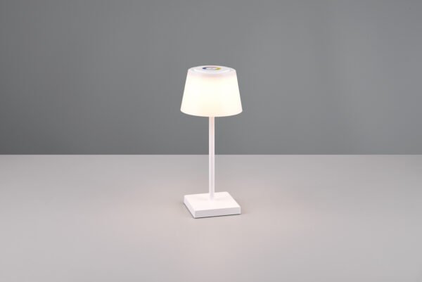 Sanchez Lampada - R54126131