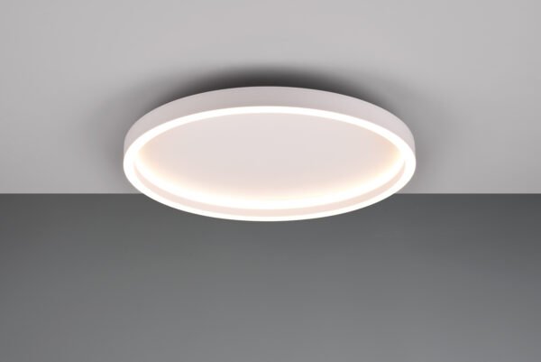 Rotonda Plafoniera - R64502131