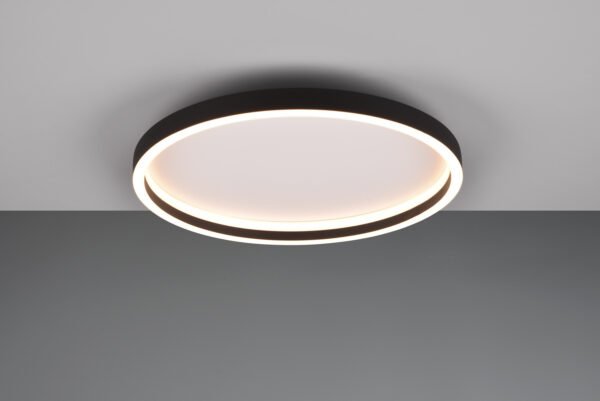 Rotonda Plafoniera - R64502132